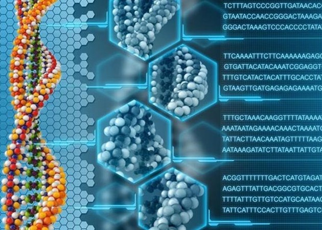 DNA DATA biological storage