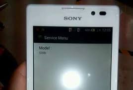 Images of unofficial Sony Xperia S39h Smartphone surfaces