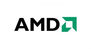 AMD Z60